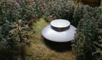 ahsaucer.jpg (74715 bytes)