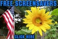 FREE SCREESAVERS